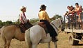 Visitez une Manade