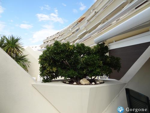 Photo n°6 de :Loue appartement standing quartier naturiste Cap d'Agde - 2 personnes - 30 m habitable - animaux non admis