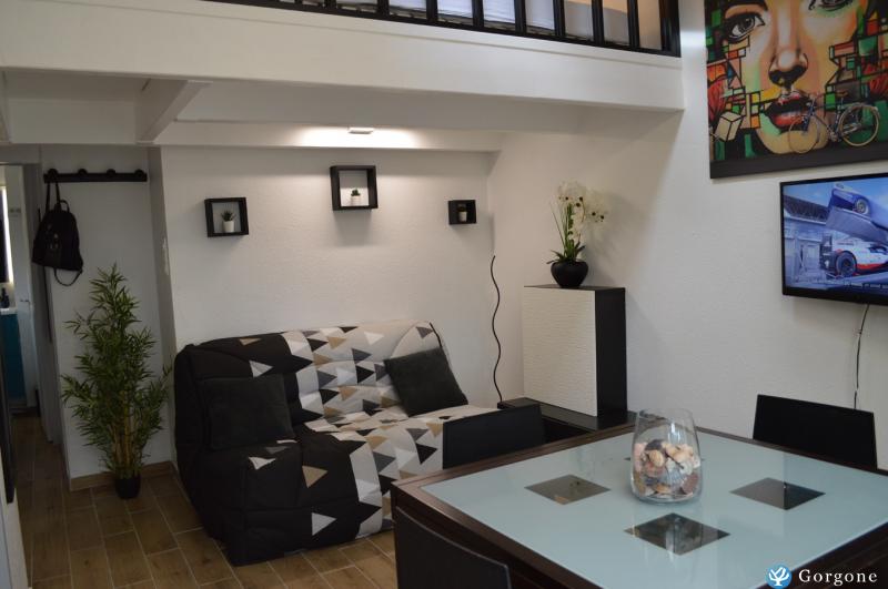 Photo n°1 de :Appartement entirement rnov, climatis, piscine, sauna, parking scuris.