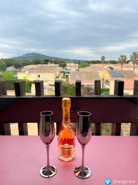 Photo n°3 de :STUDIO LUXE PORT VENUS 