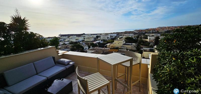 Photo n&deg;1 de :DUPLEX  1 CHAMBRE PORT NATURE 3   60M2