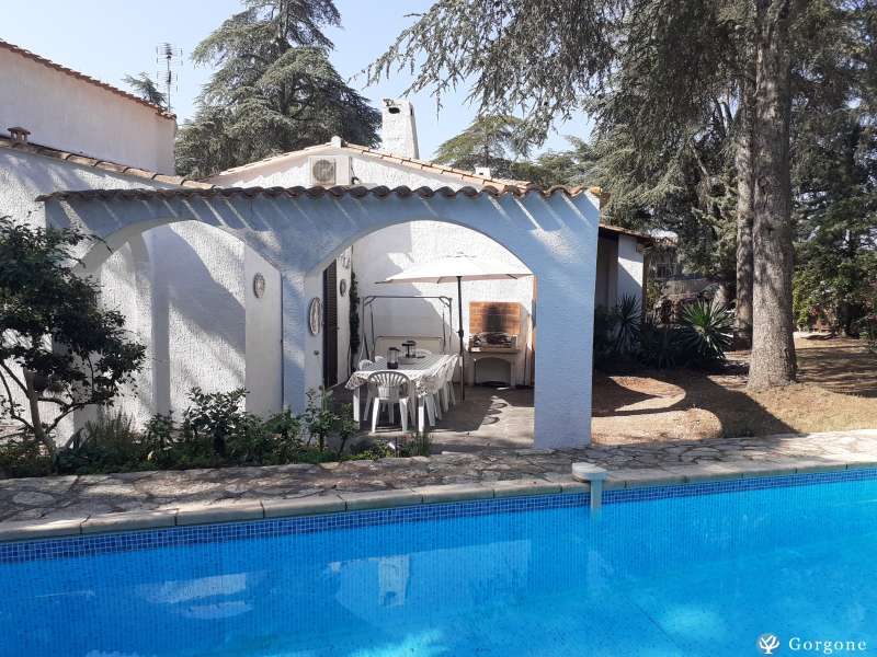 Le jardin depuis la piscine