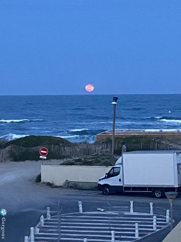 Lune de nuit